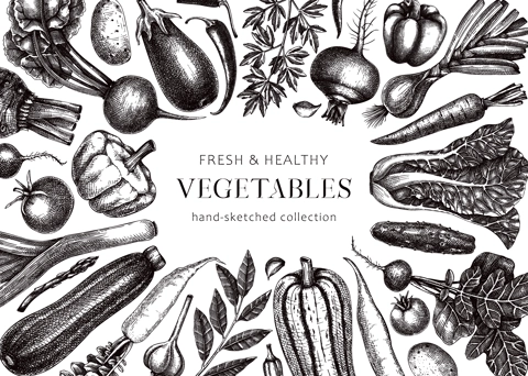 Hand-drawn vegetables vector frame design. Hand-sketched healthy food illustration. Vintage edible plants hand-drawing. Kitchen vegetables banner template in sketched style. For menu or banners